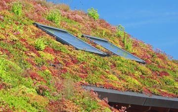 West Langton living roof systems