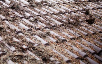 West Langton roof cleaning companies