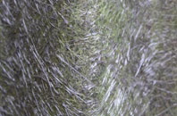 West Langton fibreglass roof work